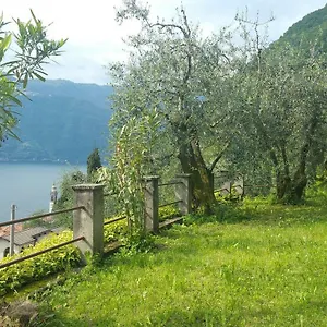Gli Ulivi Di Casa vacanze